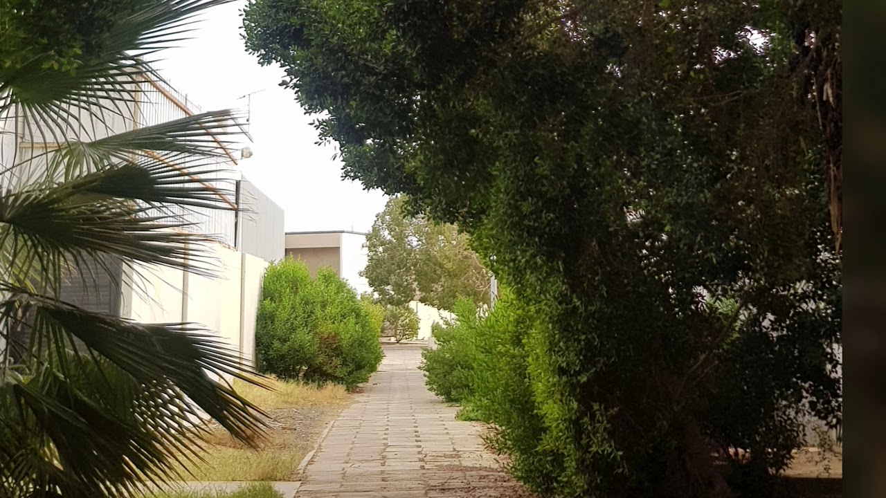 زيارة قصيرة لشارع ٢٥ المدينة العسكرية