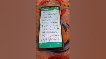 سورة المائدة الآية 51-52 سعد الغامدي