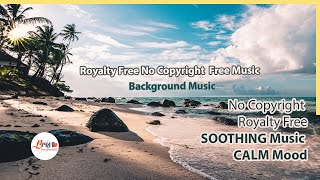 Soothing Music Calm Mood Ambient Session Bravo Background Royalty Free No Copyright Free Music screenshot 2