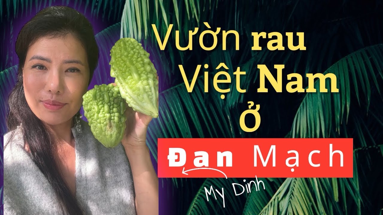 Có phải đây là vườn rau Việt Nam lớn nhất ở Đan Mạch? 🌿🇩🇰 - YouTube