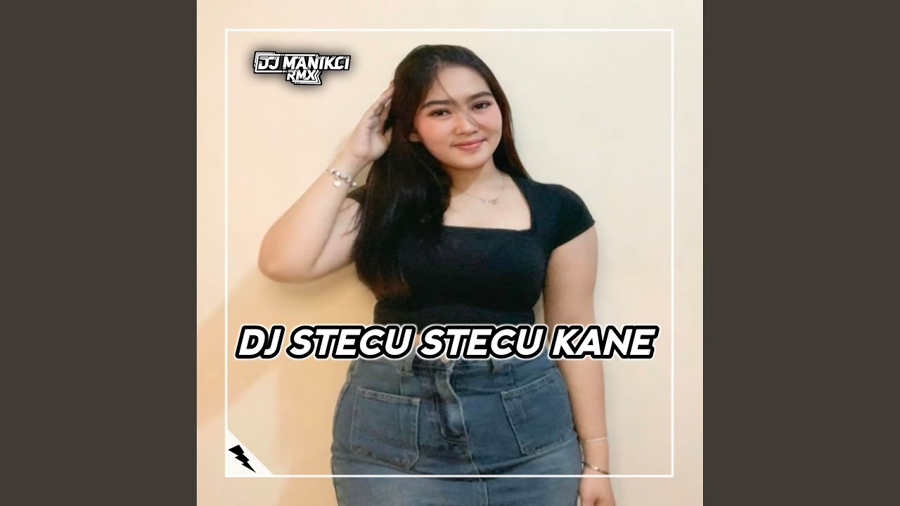 DJ ADUH ABANG BUKAN MAKSUDKU BEGITU - STECU STECU