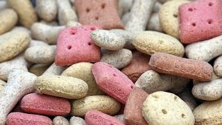 biscoito de cenoura caseiro para cachorronaturalsaúdavel veja os benefícios