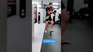 Tipos De Patadas Circulares