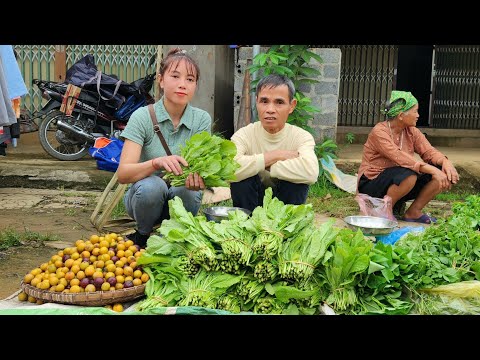 Harvest Dad's Plums & Vegetable Garden Go to the Market to Sell - Making garden Corn, Lý Thị Ninh