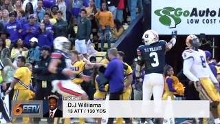 D.J Williams Highlights vs LSU