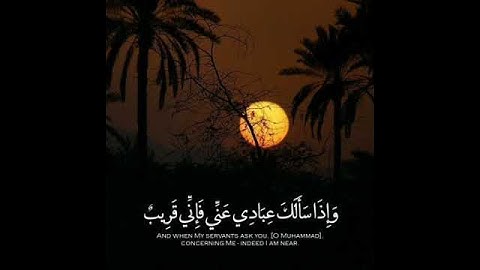 الشيخ محمد اللحيدان تلاوه نادره تفوق الوصف