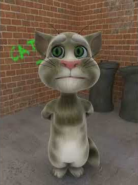 talking Tom LMFAO I'm sexy and I know it