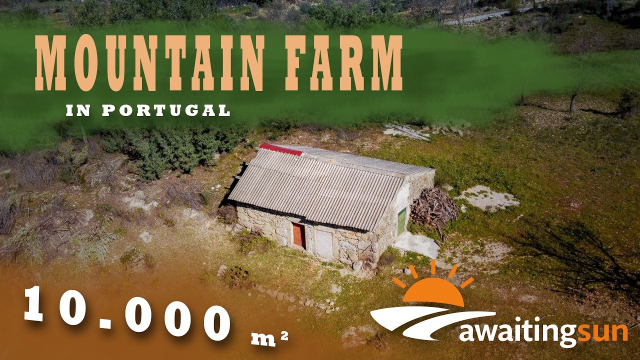 10,000 m² Rustic Land in Moita, Sabugal - Perfect for Your Dream Retreat