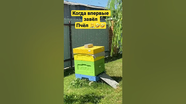 Ошибки начинающего пчеловода 😆