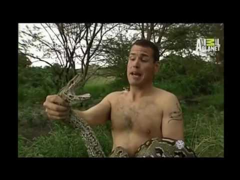 Video: Jeff Corwin Vlera neto: Wiki, I martuar, Familje, Dasma, Paga, Vëllezërit dhe Vëllezërit