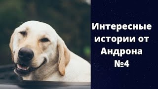 анекдоты и истории от Андрона 4