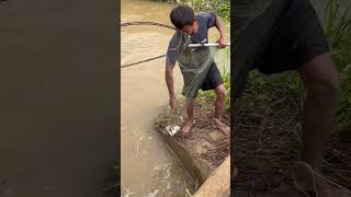 Real Life 100% Net Fishing In River At The Countryside EP #07