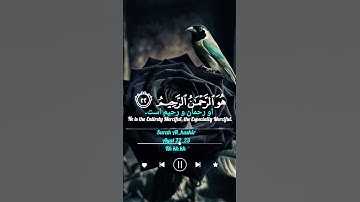 ✨ سوره حشر | عظمت خداوند و اسماء الحسنی ✨#آگزون_ابراهیمی #قرآن_و_زندگی