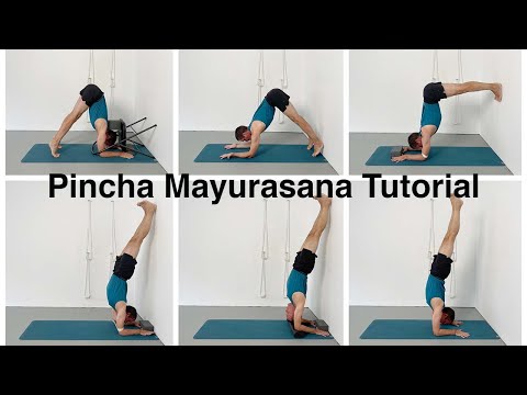 Forearm stand (Pincha Mayurasana)