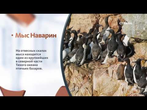 Видеоролик: Чукотка