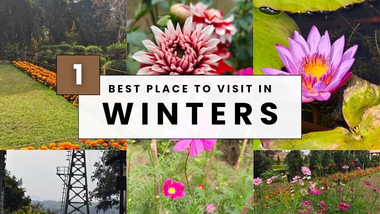 Bhubaneswar Botanical Garden 🌿 | A Peaceful Green Escape in Odisha