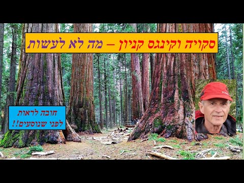 וִידֵאוֹ: דברים לעשות בפארקים הלאומיים סקויה וקינגס קניון