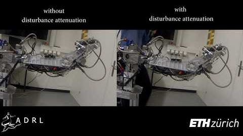 Simple and Efficient Disturbance Attenuation for Robot Control