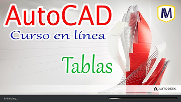 AutoCAD – Tabla de datos (Curso en línea) / 17 de 22
