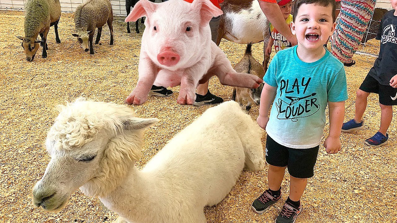 Kids Family Fun Trip to Petting Zoo with Farm Animals with Caleb Kids Show!  - YouTube