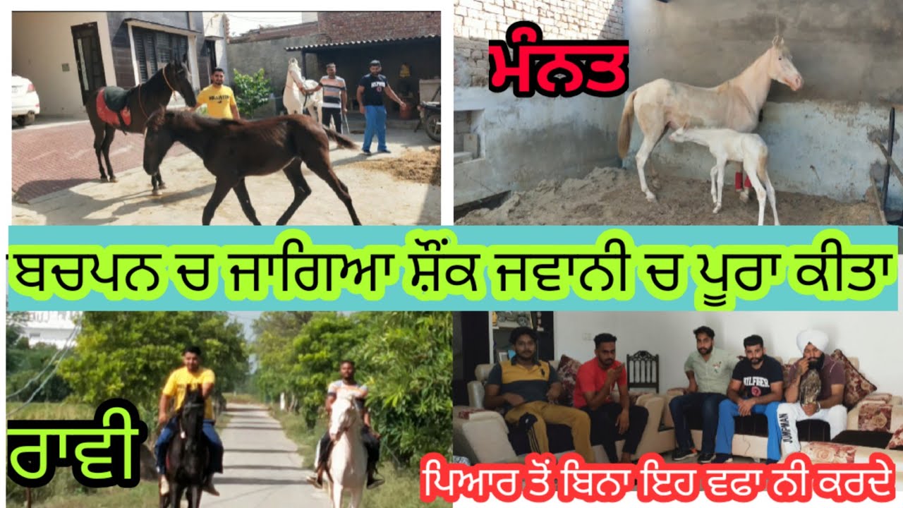 ਘੋੜ ਸਵਾਰੀ ਦਾ ਬਚਪਨ ਚ ਸ਼ੌਂਕ ਜਾਗਿਆ ਸੀ ਪਰ ਪੂਰਾ ਜਵਾਨੀ ਚ ਕਰਿਆ। ਹੁਣ ਲੋਕ ਸਲਾਹ ਲੈ ਕੇ ਜਾਨਵਰ ਖਰੀਦ ਦੇ ਆ। Sukhi
