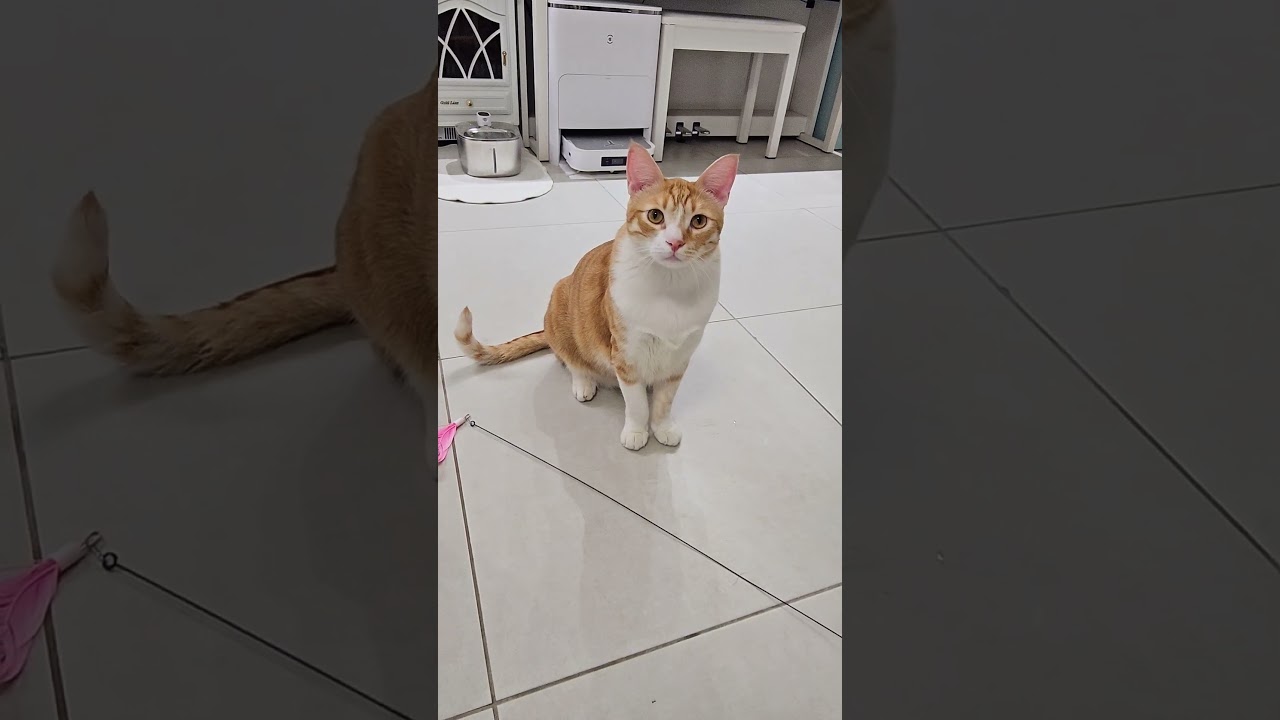 Умный Кошмарик ❤️