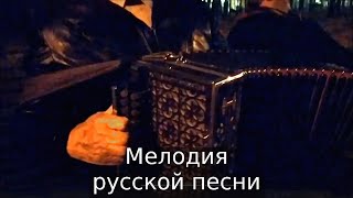 Мелодия русской песни на гармошке