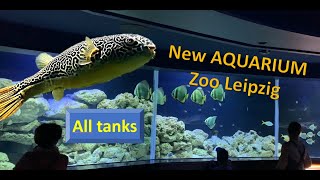 The new aquarium in Zoo Leipzig ALL TANKS