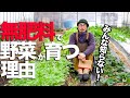 【無肥料栽培の第一歩】科学肥料なしで野菜が育つ理由を自然栽培農家が解説