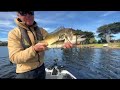 Targeting Bream with the Realis Minnow 80SP in Tasmania Australia