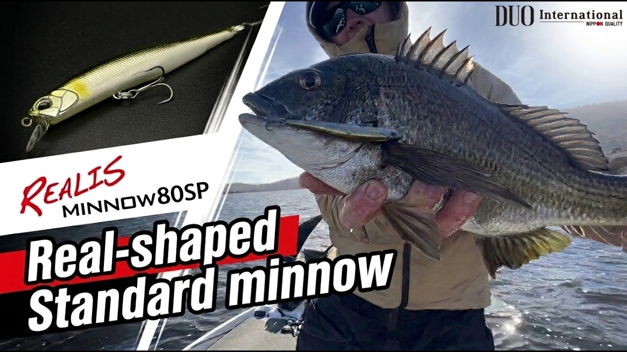 Targeting Bream with the Realis Minnow 80SP in Tasmania Australia