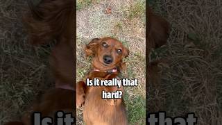 We just want 200 likes to go with our 200 views We just want 200 likes to go with our 200 views