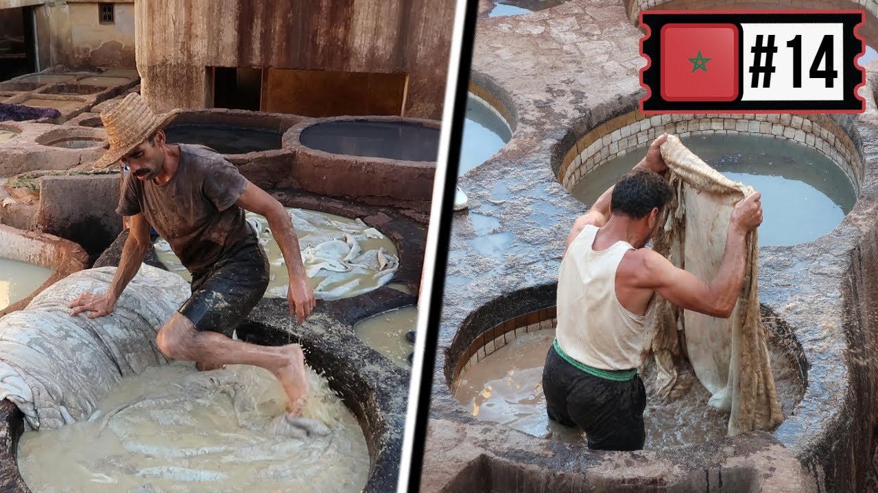 COMMENT EST FABRIQUÉ LE CUIR A FÈS - Maroc #14