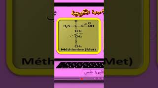 الحمض الأميني Méthionine