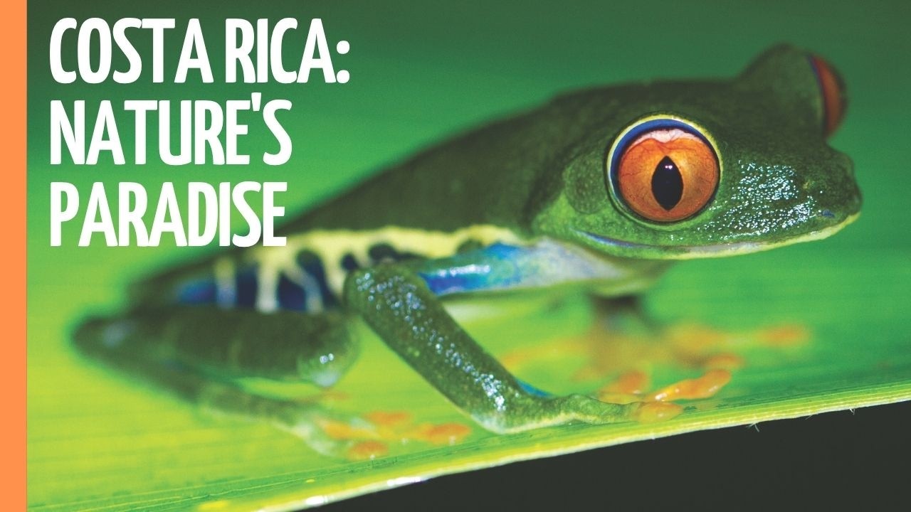 Costa Rica: The Land of 5% of All Life on Earth