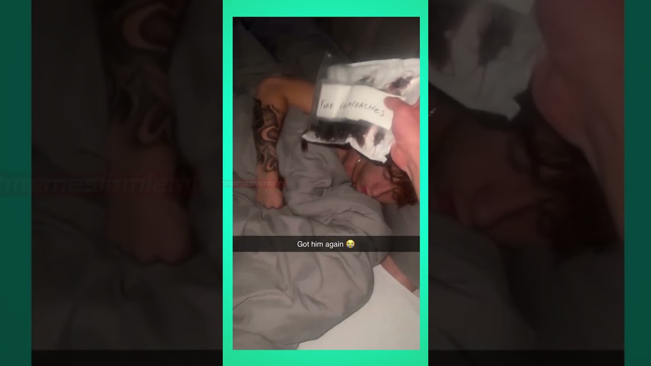 I think a real cockroach slipped in ☠☠☠☠☠☠🪳🪳🪳🪳🪳🪳