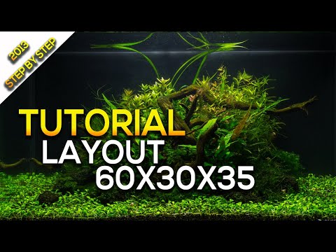 tutorial aquascape step by step 60cm nature aquarium tank moss
