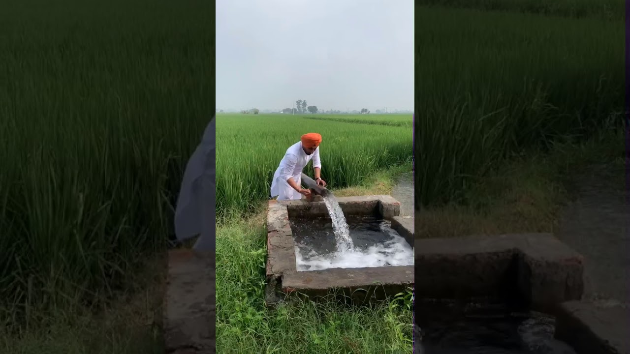 Naam Chale (Official Video) Vikram Sarkar New Haryanvi Songs Haryanavi 2025 Latest Haryanvi Songs - YouTube Auto PHP Script