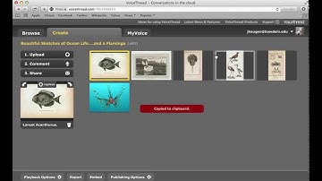 How to Embed a Voicethread in a Blackboard Campus Pack Blog Entry