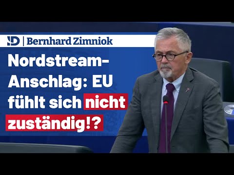 𝐁𝐞𝐫𝐧𝐡𝐚𝐫𝐝 𝐙𝐢𝐦𝐧𝐢𝐨𝐤 ▶️ Nordstream: EU ist NICHT zuständig!?