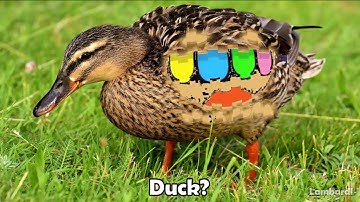 17 Toca Boca Intro Sound Variations in 50 Seconds #meme