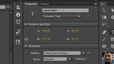 Animate cc ActionScript 3 part 1 :Displaying Variable in Stage