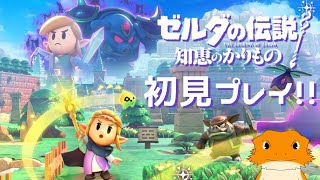 【#ゼルダの伝説知恵のかりもの】ハイラル城の裂け目閉じにいく！【ネタバレ注意】
