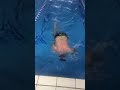 Stile Libero: cifosi accentuata delle spalle, ex pugile, ha ingresso della bracciata corto.