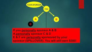 Binary Plan English Net Worth