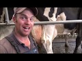 MILKING THE COWS IN WALES WITH COTLANDFARMER