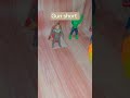 # playing with gun # short video #👍💯