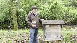 The Beginner's Guide to Natural Beekeeping