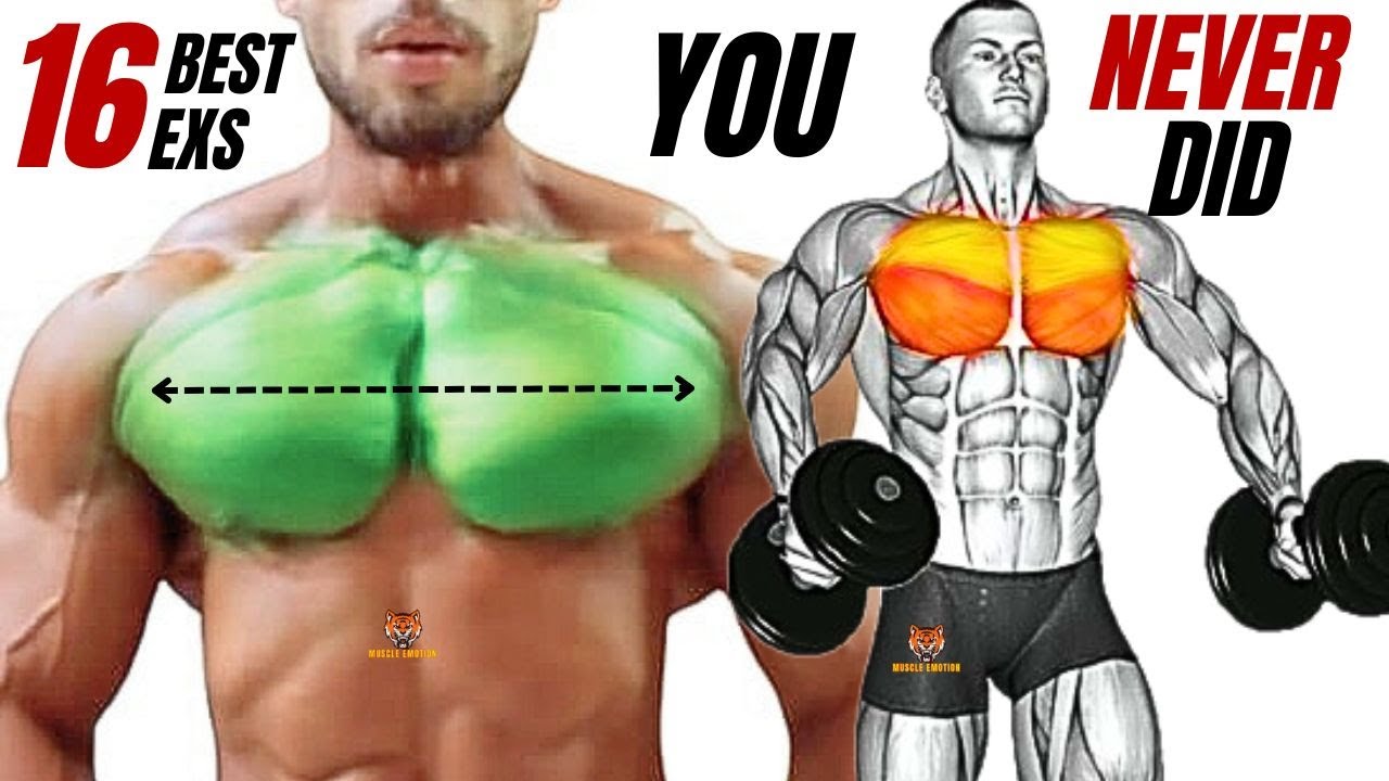 TOP 16 INNER, LOWER AND UPPER CHEST WORKOUT THAT YOU NEVER DID AT GYM ...