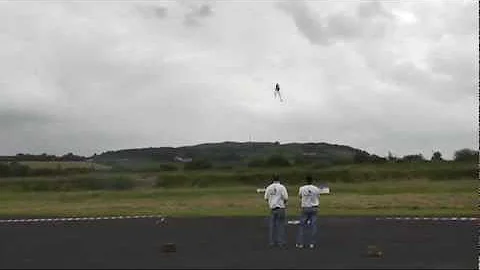 3DNI 2011 sponsored by Model Heli Services pilot R...